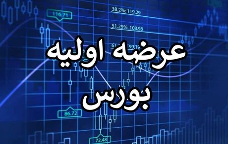 ۱.۵ میلیون نفر در اولین عرضه اولیه ۱۴۰۲ مشارکت کردند
