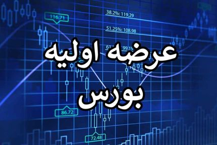 ۱.۵ میلیون نفر در اولین عرضه اولیه ۱۴۰۲ مشارکت کردند