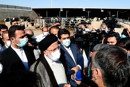 پیگیر طرح قطع دست دلالان و واسطه‌ها از بازار تأمین نهاده‌های دامی هستیم