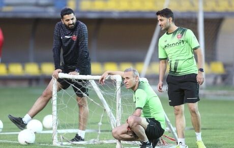 بحران جدید در پرسپولیس: دستیاران گل‌محمدی تمدید نمی‌کنند