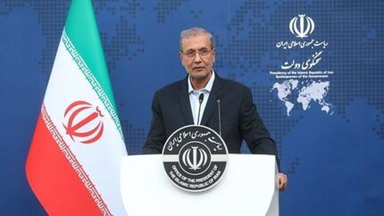 ربیعی: در حاشیه تجمعات حاضر بودم/ عزادار و سوگواریم