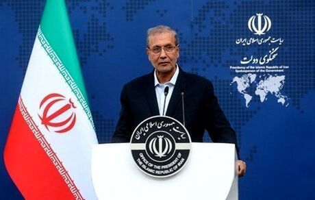 ربیعی: در حاشیه تجمعات حاضر بودم/ عزادار و سوگواریم