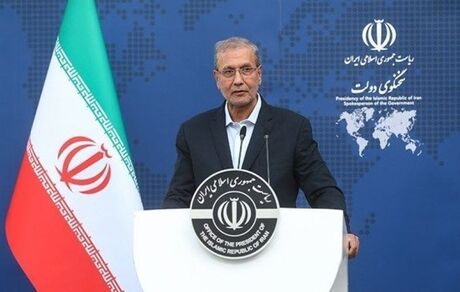 ربیعی: در حاشیه تجمعات حاضر بودم/ عزادار و سوگواریم