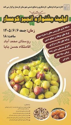 نخستین جشنواره گردشگری انجیر گرمسار برگزار می‌شود
