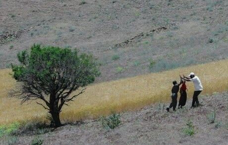 ۱۸۴ اثر به جشنواره فیلم کوتاه سکانس حماسه ارسال شده است