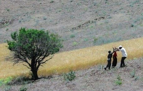 ۱۸۴ اثر به جشنواره فیلم کوتاه سکانس حماسه ارسال شده است