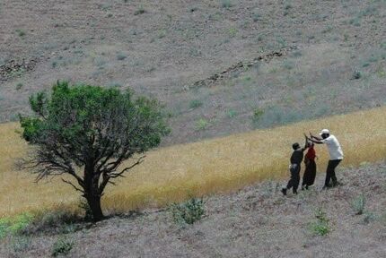 ۱۸۴ اثر به جشنواره فیلم کوتاه سکانس حماسه ارسال شده است