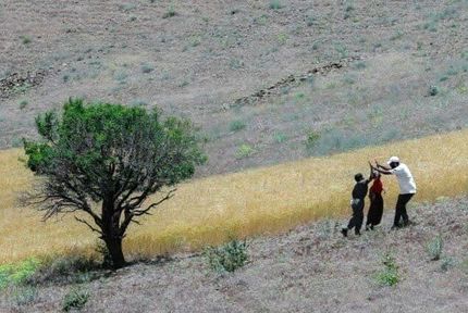 ۱۸۴ اثر به جشنواره فیلم کوتاه سکانس حماسه ارسال شده است