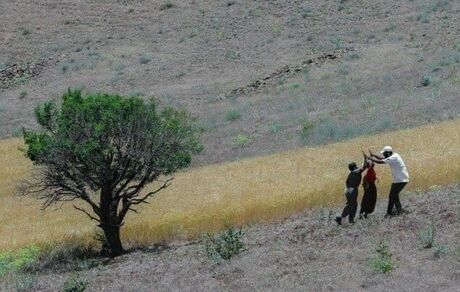 ۱۸۴ اثر به جشنواره فیلم کوتاه سکانس حماسه ارسال شده است