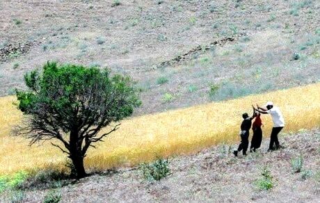 ۱۸۴ اثر به جشنواره فیلم کوتاه سکانس حماسه ارسال شده است
