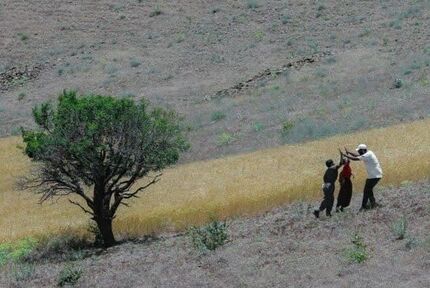 ۱۸۴ اثر به جشنواره فیلم کوتاه سکانس حماسه ارسال شده است