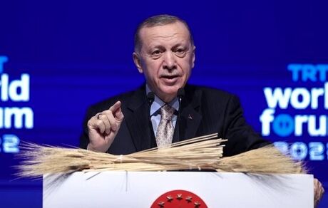 اردوغان: جوزپ بورل اجازه‌ ندارد درباره روابط مسکو و آنکارا نظر دهد