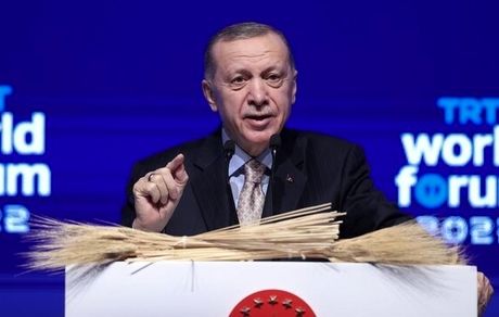اردوغان: جوزپ بورل اجازه‌ ندارد درباره روابط مسکو و آنکارا نظر دهد