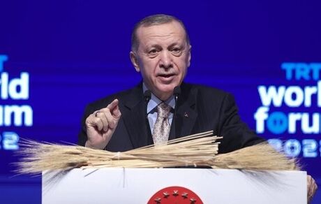اردوغان: جوزپ بورل اجازه‌ ندارد درباره روابط مسکو و آنکارا نظر دهد
