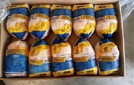 امکان صادرات مرغ را نداریم/ پیشنهاد ایجاد صندوق توسعه صادرات در کشور