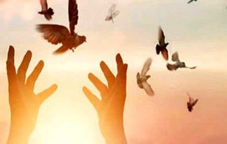 آزادی ۲۰۰ زندانی جرایم غیرعمد در پی قهرمانی تراکتور
