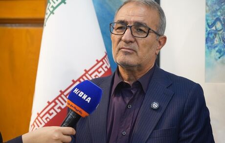 تلاش‌های بانک مسکن، زمینه‌ساز تسریع در بهره‌برداری واحدهای نهضت ملی/ تامین مالی ۵۲۶۰ واحد نهضت ملی در کهگیلویه و بویراحمد
