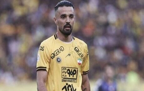 هافیک سپاهان از هواداران عذرخواهی کرد