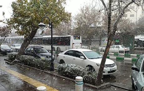 اولین بارش برف، مشهد را سفیدپوش کرد