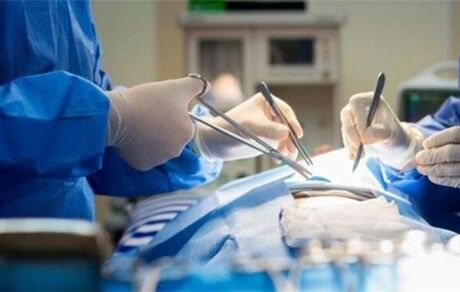 انجام بیش از 800 عمل پیوند عضو در شیراز