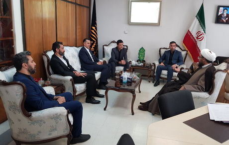 پیشنهاد ایجاد فدراسیون داوران ورزشی عملیاتی می‌شود
