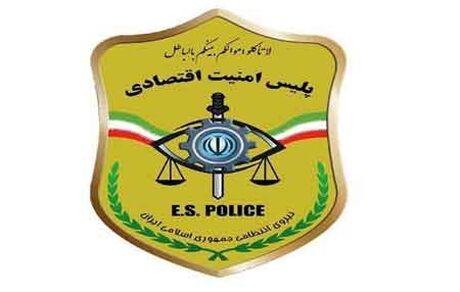 حمایت پلیس امنیت اقتصادی از اقتصاد کشور با کمک شرکت‌های دانش‌بنیان