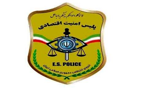 حمایت پلیس امنیت اقتصادی از اقتصاد کشور با کمک شرکت‌های دانش‌بنیان