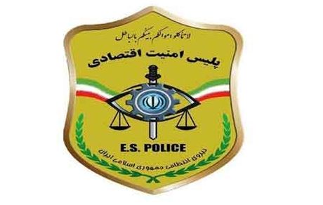 حمایت پلیس امنیت اقتصادی از اقتصاد کشور با کمک شرکت‌های دانش‌بنیان