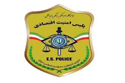 حمایت پلیس امنیت اقتصادی از اقتصاد کشور با کمک شرکت‌های دانش‌بنیان