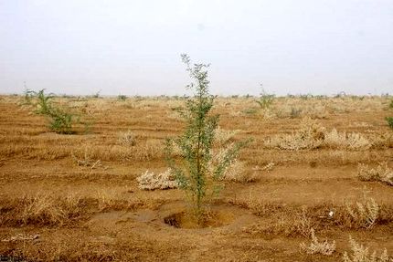 ۳۲ میلیون هکتار بیابان در کشور وجود دارد