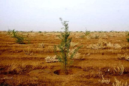 ۳۲ میلیون هکتار بیابان در کشور وجود دارد