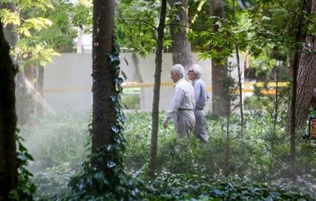 فعالیت بازنشستگان در تاکسی اینترنتی قانونی می‌شود