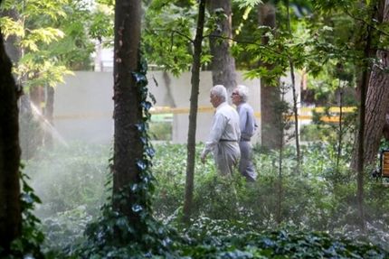 فعالیت بازنشستگان در تاکسی اینترنتی قانونی می‌شود