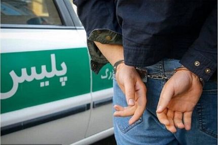 سارقی با ۴۲ فقره سرقت در همدان دستگیر شد