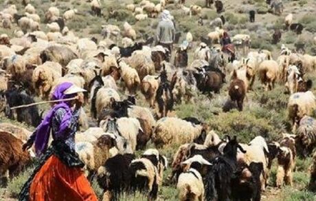 تکمیل فاز دوم اطلس ملی عشایر آغاز شد