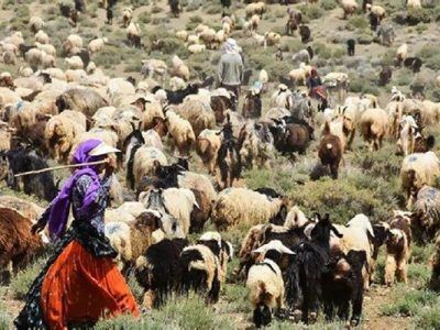 تکمیل فاز دوم اطلس ملی عشایر آغاز شد