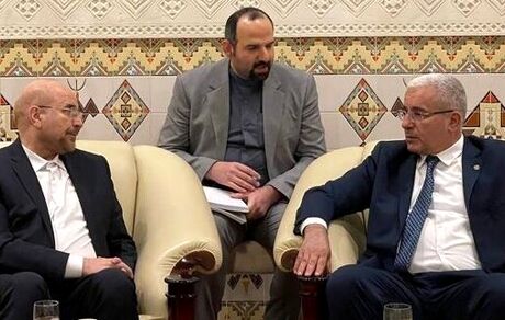 قالیباف با استقبال رسمی وارد الجزایر شد