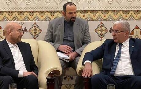 قالیباف با استقبال رسمی وارد الجزایر شد