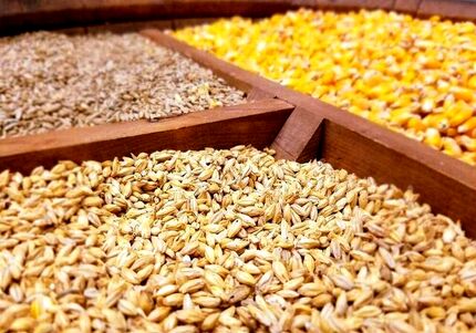 چقدر کالای اساسی وارد شده است؟