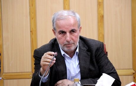 کوچکی‌نژاد: درآمد فرزندان ملاکی برای حذف یارانه خانواده نباشد