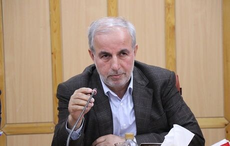 کوچکی‌نژاد: درآمد فرزندان ملاکی برای حذف یارانه خانواده نباشد