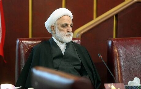 محسنی اژه‌ای، رئیس کمیسیون حقوقی و قضایی مجمع تشخیص مصلحت نظام ماند