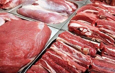 واردات گوشت قرمز تا پایان سال ادامه دارد