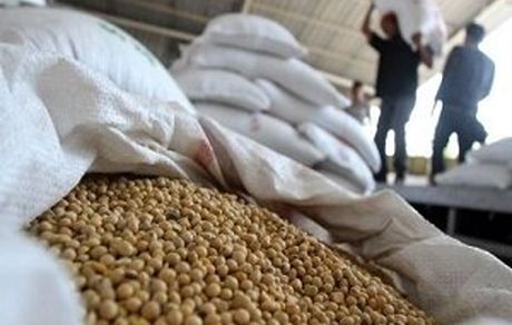 فاسد شدن چندصد تن سویای دامی در بندر امام