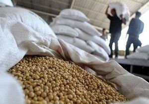 فاسد شدن چندصد تن سویای دامی در بندر امام