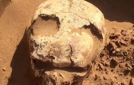 جنسیت جنگجوی باستانی ۲ هزار سالن مشخص شد