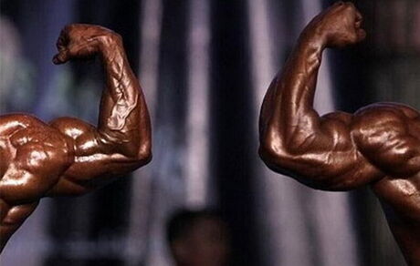 برگزاری دوره‌های آموزشی فدراسیون بدنسازی ممنوع شد