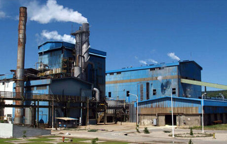 چوب و کاغذ مازندران تعطیل نیست