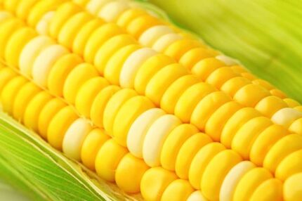 
حاشیه‌سازی برای ذرت‌های اخراجی!
