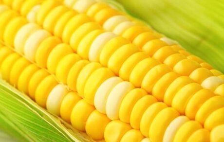 
حاشیه‌سازی برای ذرت‌های اخراجی!
